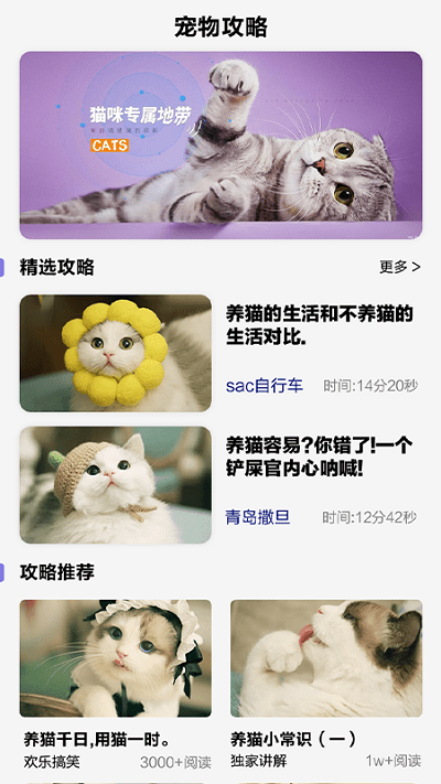 可爱喵喵壁纸大全软件1